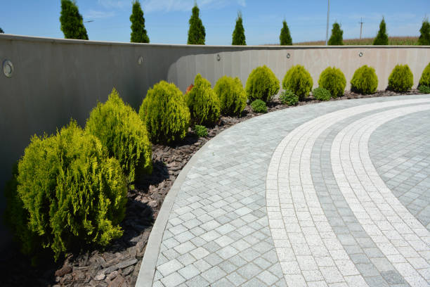 Best Driveway Repair Near Me  in Columbia, MD